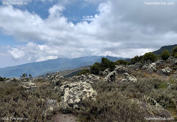 ������������ 2023.  ������ - ��������. ����� ���������, ���� 106