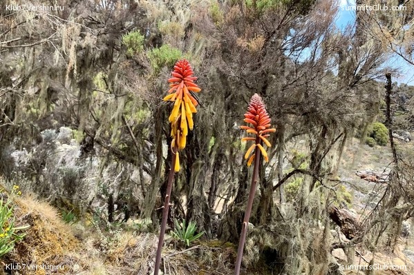 ������������ 2023.  ������ - ��������. ����� ���������, ���� 65