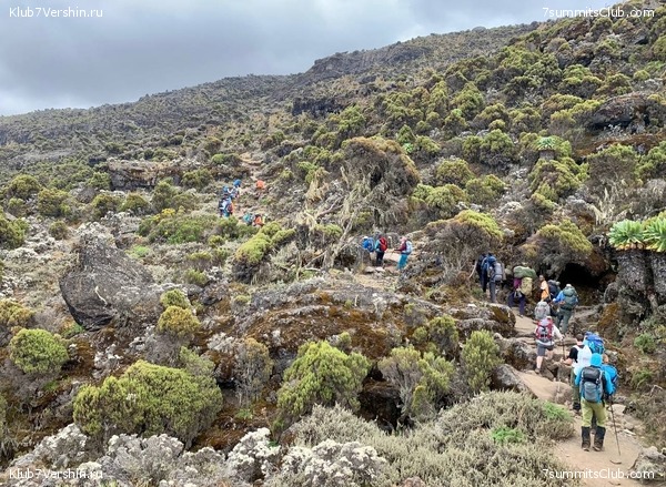 ������������ 2023.  ������ - ��������. ����� ���������, ���� 149