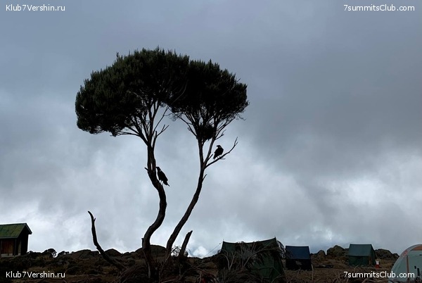 ������������ 2023.  ������ - ��������. ����� ���������, ���� 76