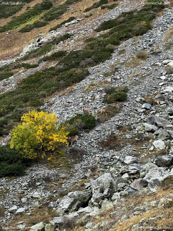 ������ ����� � ����-��. �������� 2023 ����, ���� 94