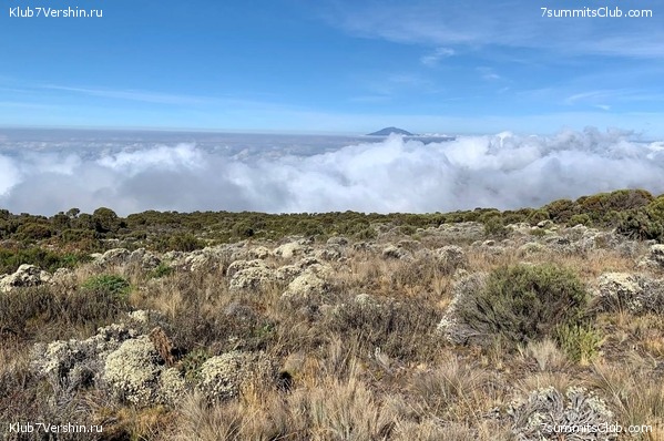 ������������ 2023.  ������ - ��������. ����� ���������, ���� 59