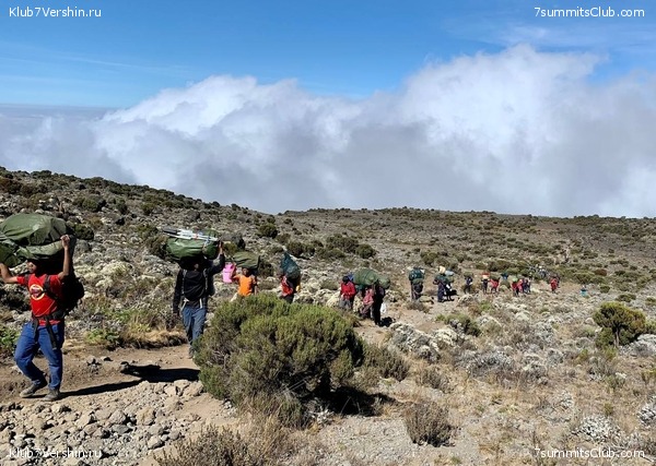 ������������ 2023.  ������ - ��������. ����� ���������, ���� 132