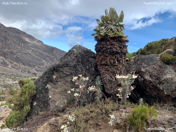 ������������ 2023.  ������ - ��������. ����� ���������, ���� 218