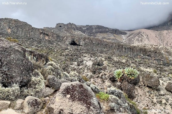 ������������ 2023.  ������ - ��������. ����� ���������, ���� 60