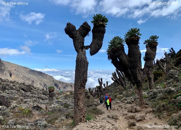 ������������ 2023.  ������ - ��������. ����� ���������, ���� 139