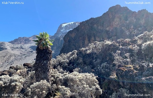 ������������ 2023.  ������ - ��������. ����� ���������, ���� 35