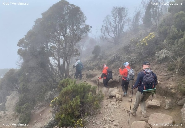 ������������ 2023.  ������ - ��������. ����� ���������, ���� 102