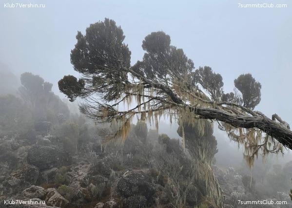 ������������ 2023.  ������ - ��������. ����� ���������, ���� 133