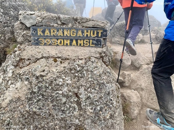 ������������ 2023.  ������ - ��������. ����� ���������, ���� 159