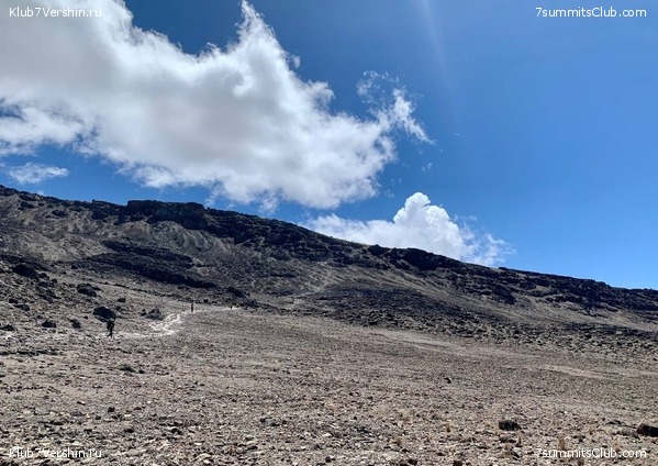 ������������ 2023.  ������ - ��������. ����� ���������, ���� 125