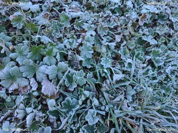 ������ ����� � ����-��. �������� 2023 ����, ���� 53