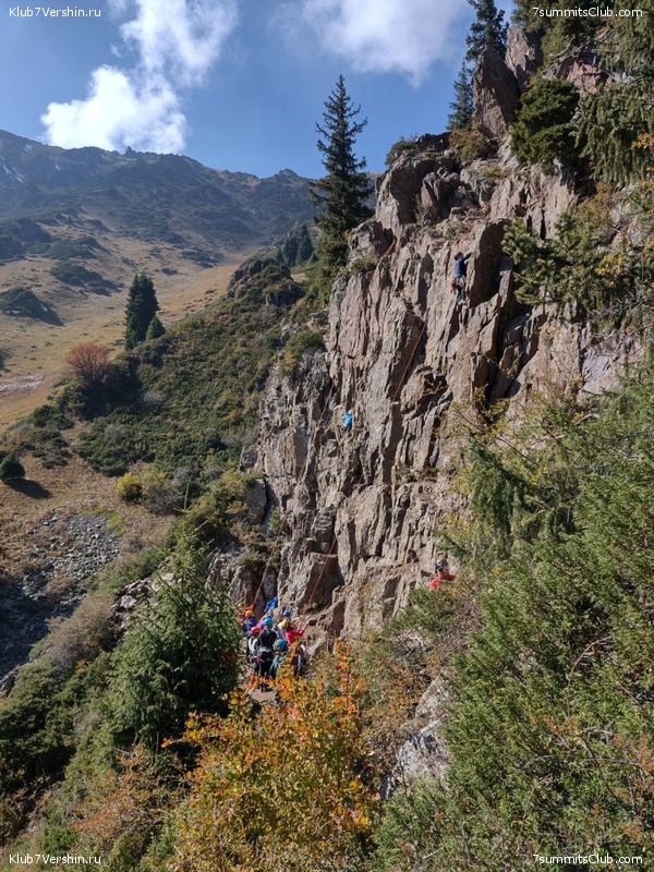 ������ ����� � ����-��. �������� 2023 ����, ���� 115