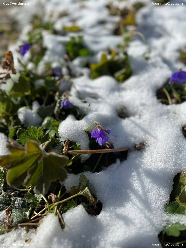 ������ ����� � ����-��. �������� 2023 ����, ���� 116