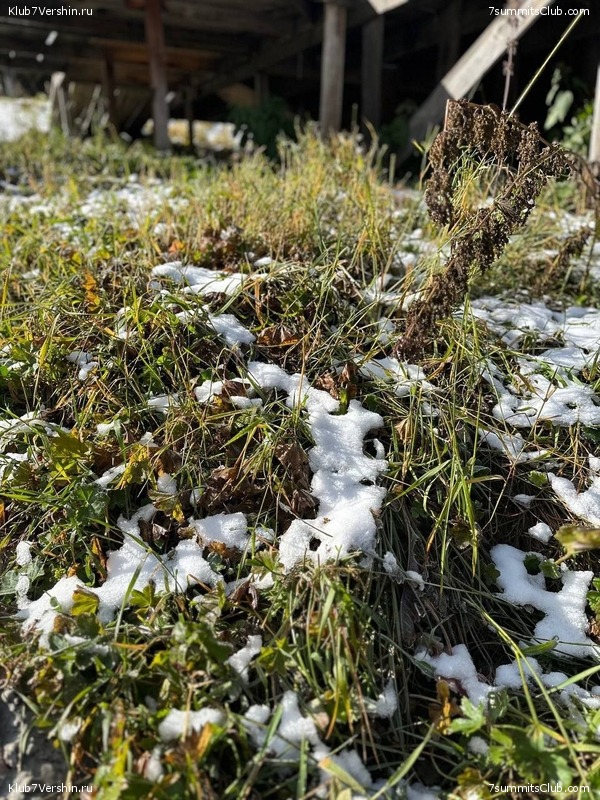 ������ ����� � ����-��. �������� 2023 ����, ���� 122