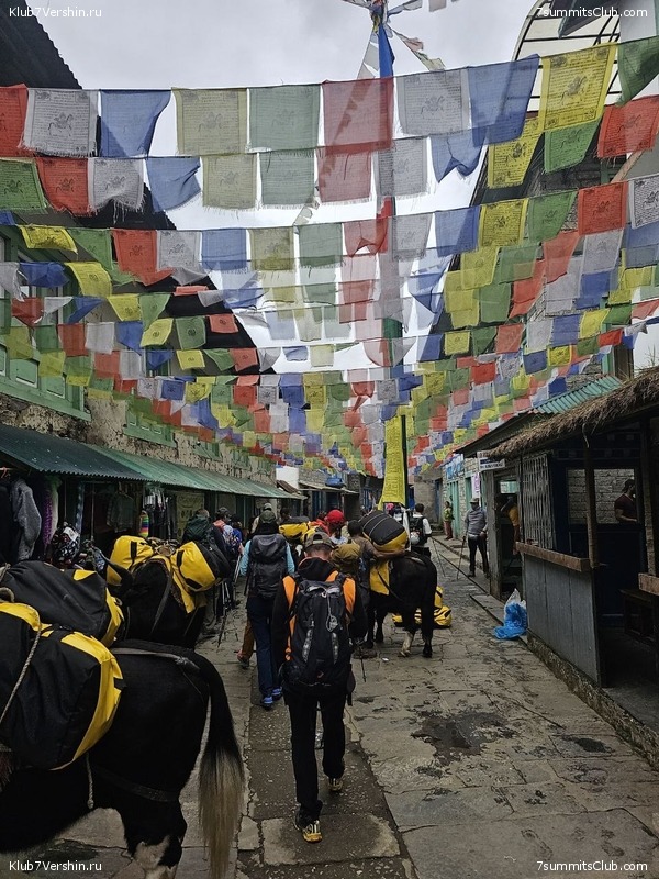 �������� � �������� ������. ������ ��� � ������. ����� 2023 ����, ���� 118