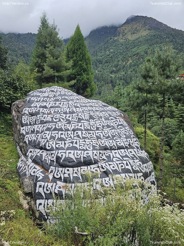 �������� � �������� ������. ������ ��� � ������. ����� 2023 ����, ���� 120