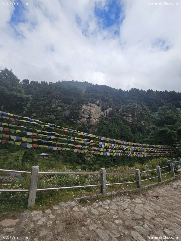 �������� � �������� ������. ������ ��� � ������. ����� 2023 ����, ���� 121