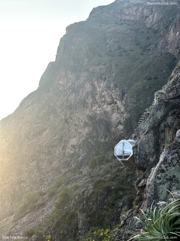 ���� ���� ���� 2023, ���� 59