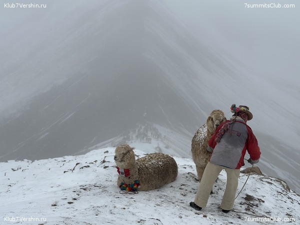 ���� ���� ���� 2023, ���� 37