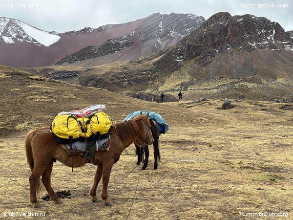 ���� ���� ���� 2023, ���� 38