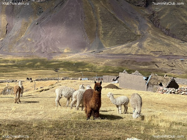 ���� ���� ���� 2023, ���� 39