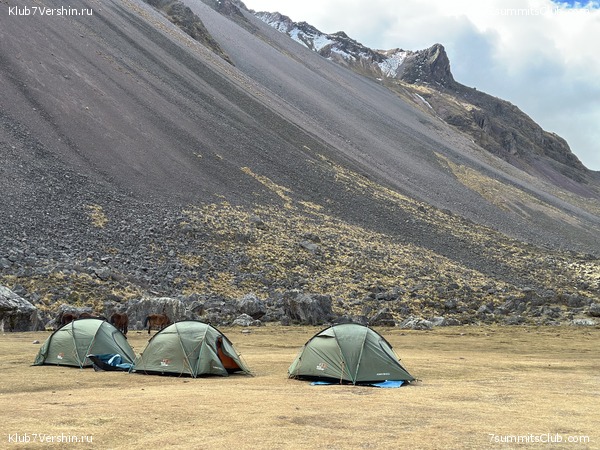 ���� ���� ���� 2023, ���� 49