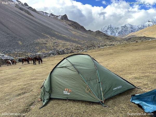 ���� ���� ���� 2023, ���� 50