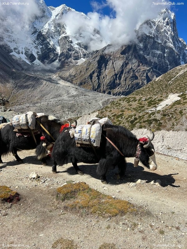 �������� � �������� ������. ������ ��� � ������. ����� 2023 ����, ���� 148