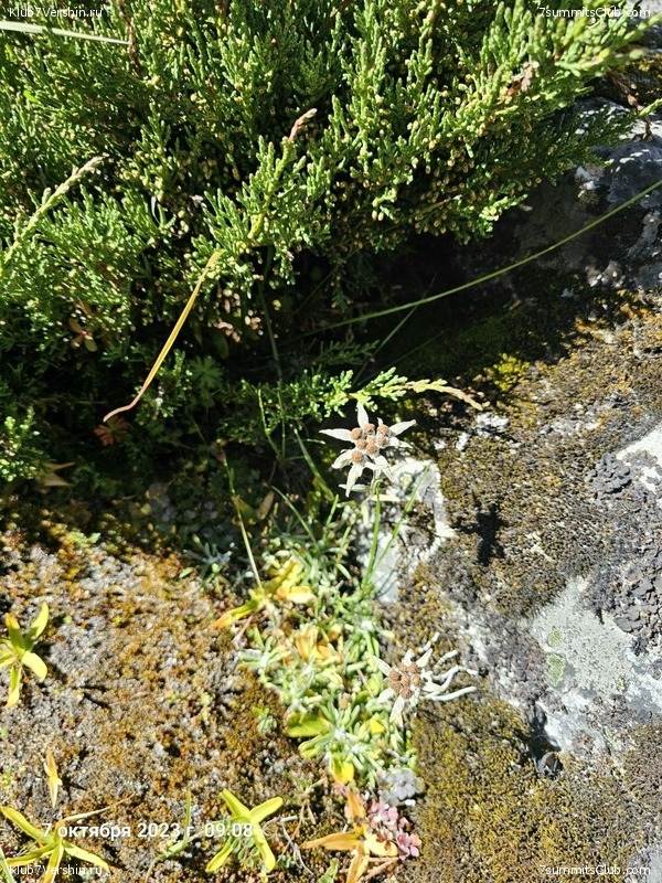 �������� � �������� ������. ������ ��� � ������. ����� 2023 ����, ���� 151