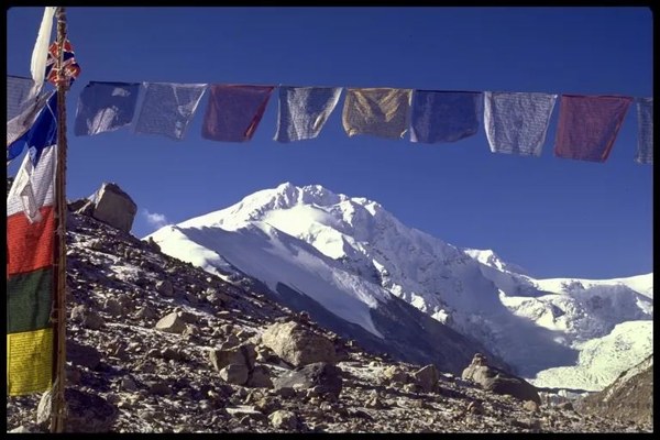 ������� �� �������� 2023, ���� 82