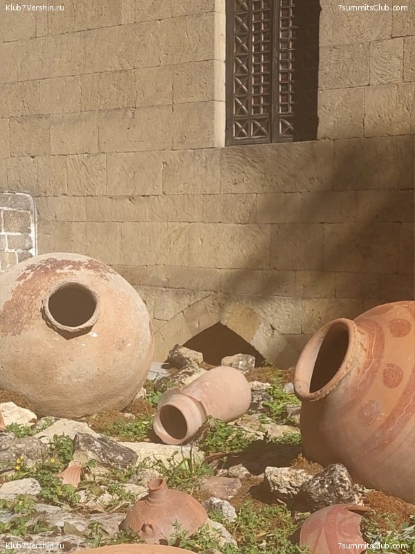 �������� 2023. ������������� �����, ���� 59