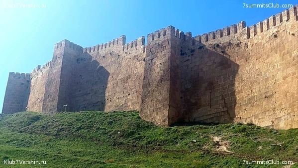 �������� 2023. ������������� �����, ���� 10