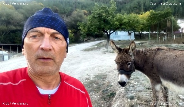 �������� 2023. ������������� �����, ���� 15