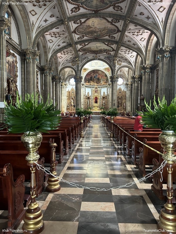 �������. ����� 2023 ����. ��������� �������, ���� 115