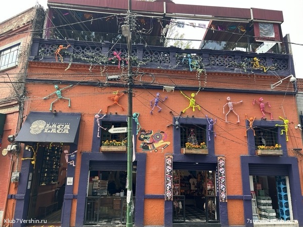 �������. ����� 2023 ����. ��������� �������, ���� 28