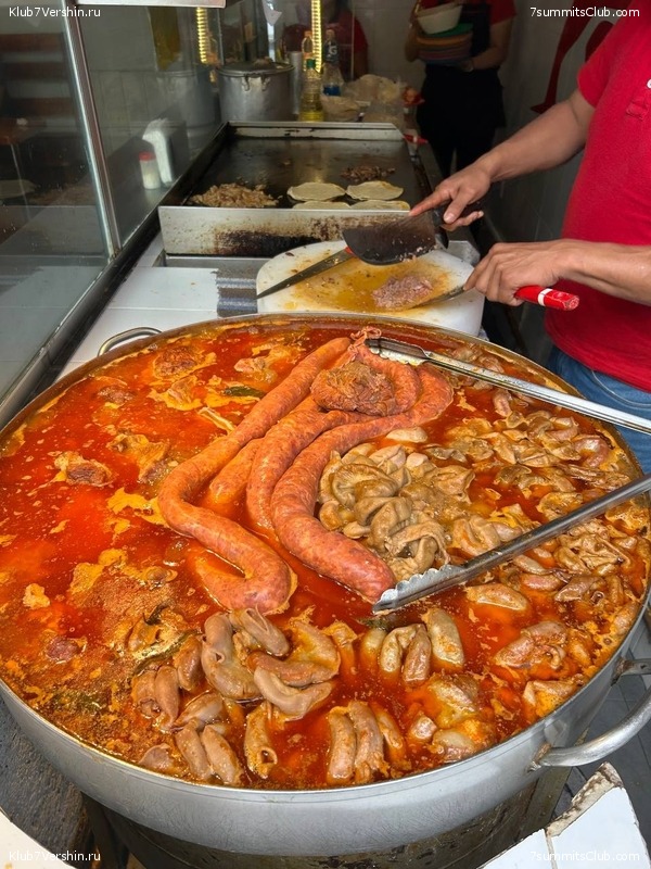 �������. ����� 2023 ����. ��������� �������, ���� 120