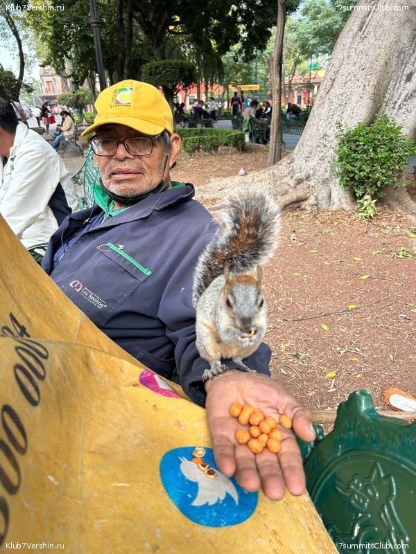 �������. ����� 2023 ����. ��������� �������, ���� 121