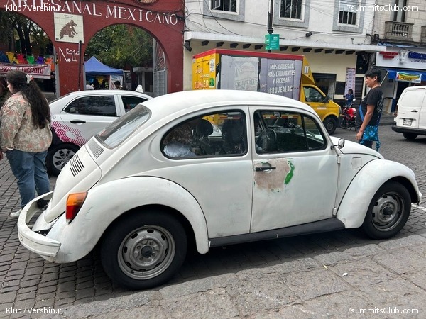 �������. ����� 2023 ����. ��������� �������, ���� 31