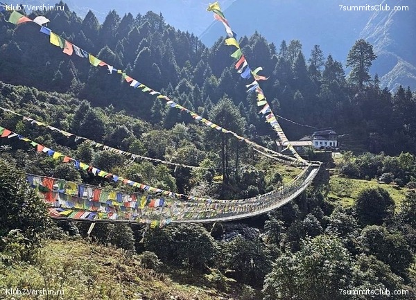 ���� ��� 2023. ������� 2023 ����. �. �������, ���� 7