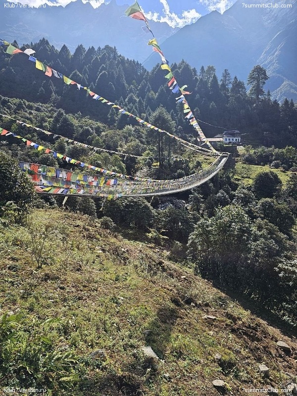   2023.  2023 . . ,  28