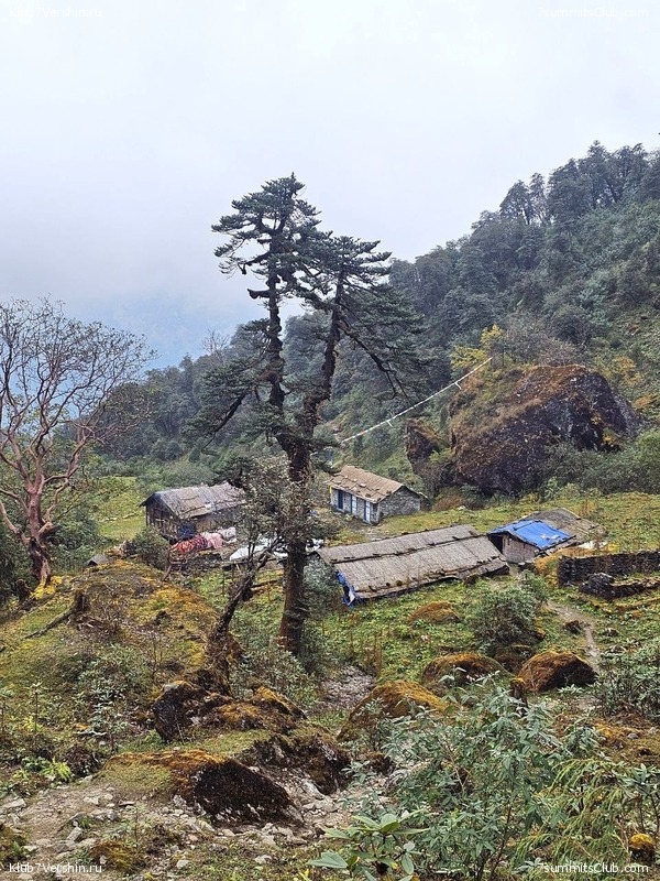 ���� ��� 2023. ������� 2023 ����. �. �������, ���� 30