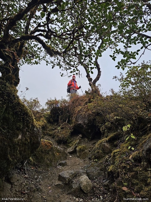 ���� ��� 2023. ������� 2023 ����. �. �������, ���� 31