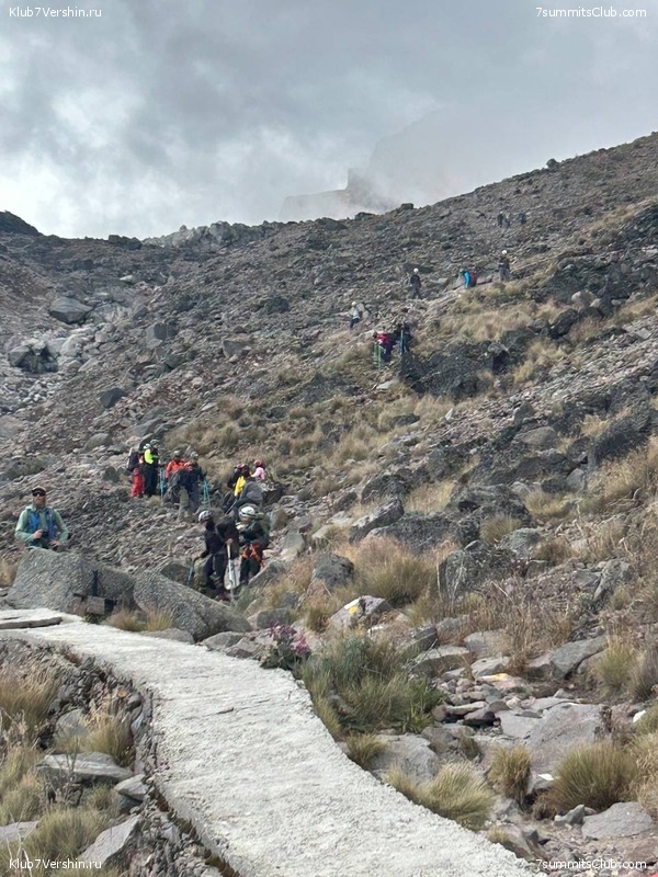 �������. ����� 2023 ����. ��������� �������, ���� 135