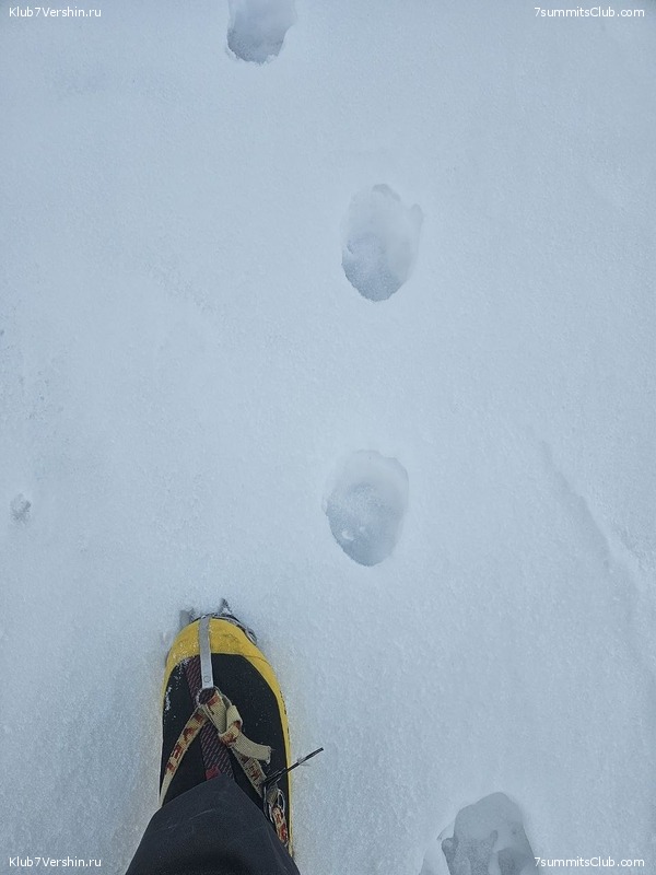 ���� ��� 2023. ������� 2023 ����. �. �������, ���� 40