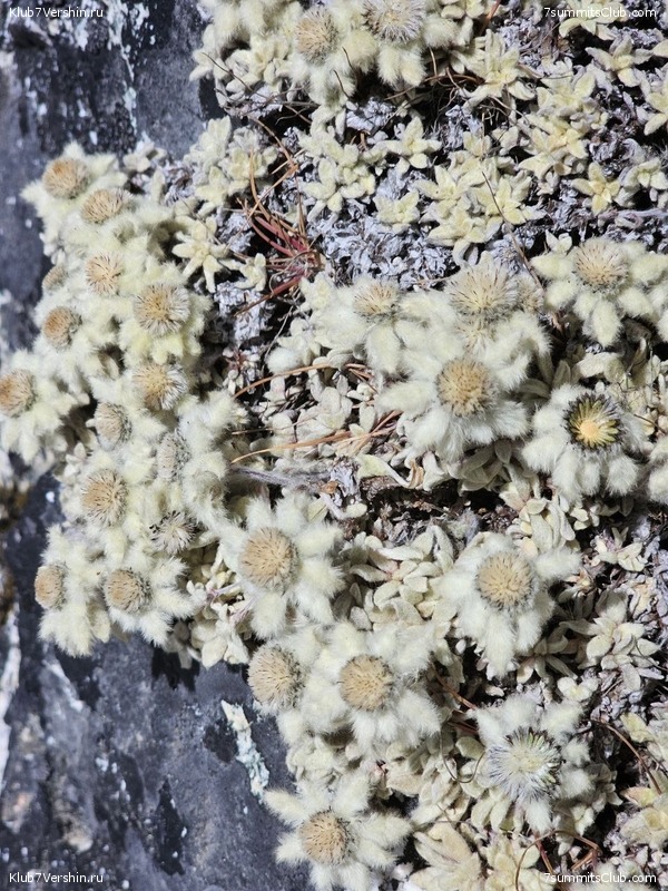 ���� ��� 2023. ������� 2023 ����. �. �������, ���� 49