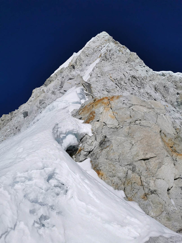 ������� �� �������� 2023, ���� 243