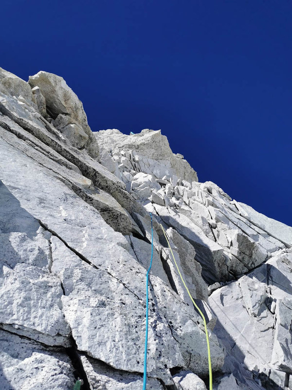 ������� �� �������� 2023, ���� 244