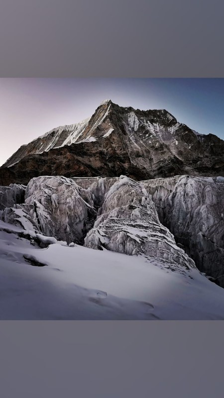 ������� �� �������� 2023, ���� 271