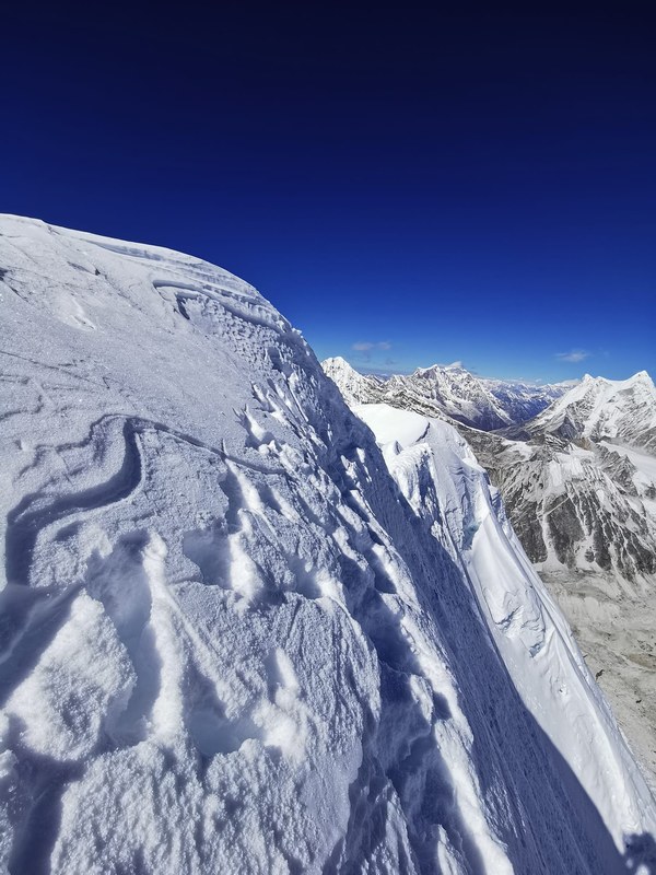 ������� �� �������� 2023, ���� 245